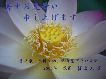 �ڂ��΂��񂩂�
