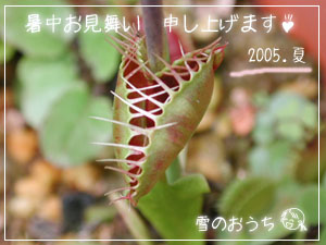 �Ⴓ�񂩂�