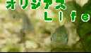 �I���W�A�XLife