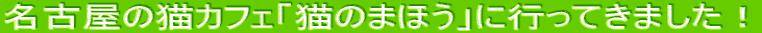 ���É��̔L�J�t�F�u�L�̂܂ق��v�ɍs���Ă��܂����I