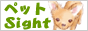 �y�b�gSight!