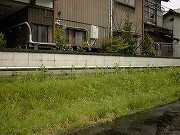 ����̉���