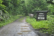 �k�C���̉���