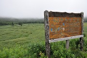�k�C���̉���