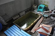�k�C���̉���