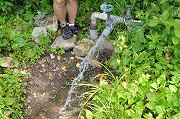 �k�C���̉���