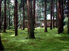 白山神社 境内