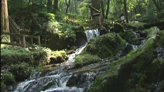 天徳寺境内に湧き出る瓜割の滝