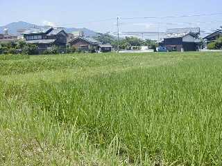 ちなみに aandaの家は写っていません 念の為(^-^)