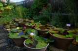 �M�ѐ��@�����@���H