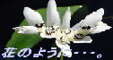 あーちゃんのHP