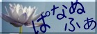 ちいさんのお花いっぱい「ぱなぬふぁ」