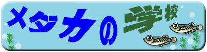 NatureLand　ｋａｚｕさん　同級生？