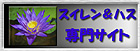 九州の宮川花園　睡蓮ハスなどの通販サイト  