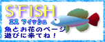 S'FISH