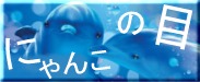 雪ちゃんのブログ　トマト君との日々