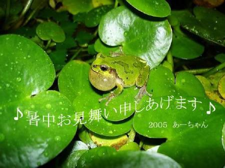 あーちゃんから
