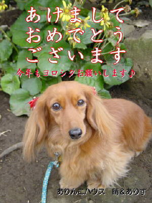 ありすちゃん晴さん　ありがとうございます