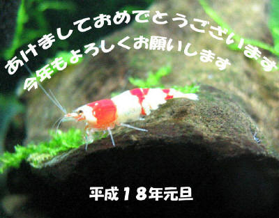 ナオさん　ありがとうございます