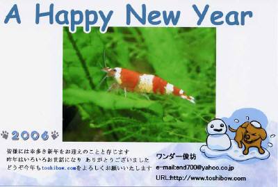 俊さん　ありがとうございます