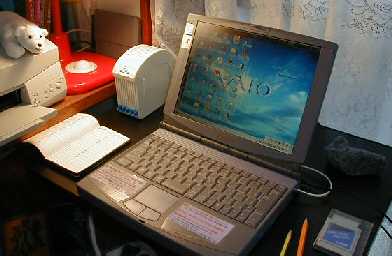 しろくまくんはまだご滞在中