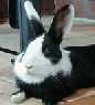 N@Ǔʐ^W