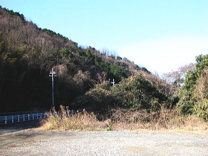 外した林