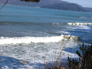 よく見ると海鳥が３０羽程波間に漂う