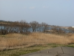 しくら川の河原
