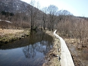木道が壊れているため進入禁止