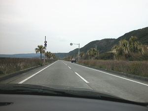 南国道路だ、沖縄だといっても通用しそうかな？