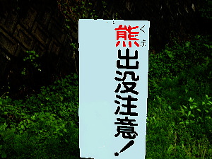 灯火ポイントチェック