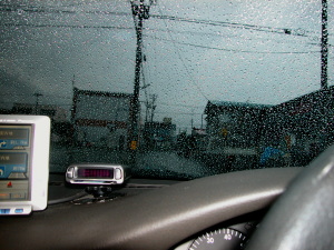 今年は雨が多く、朝から不機嫌だ