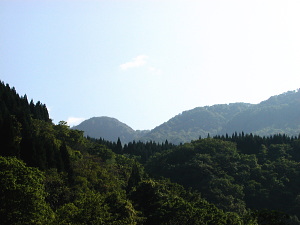 奥の山が今日のクワ場