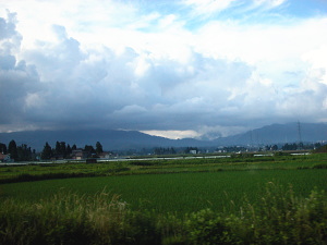 あっちの山のブナ林が今日のクワ場である