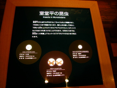 ②