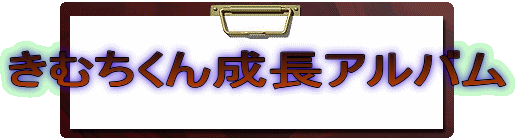 きむちくん成長アルバム
