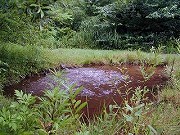 秋田の温泉
