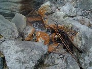 秋田の温泉