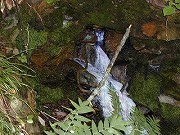 秋田の温泉