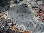 秋田の温泉