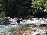 秋田の温泉