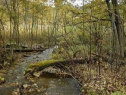 秋田の温泉