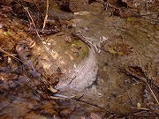 秋田の温泉