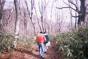 青森の温泉