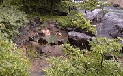 青森の温泉