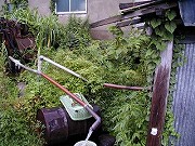 青森の温泉