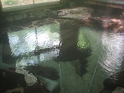 青森の温泉
