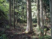福井の温泉