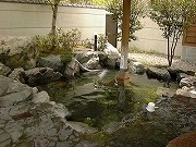 福井の温泉
